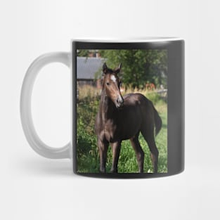 TB COLT Mug